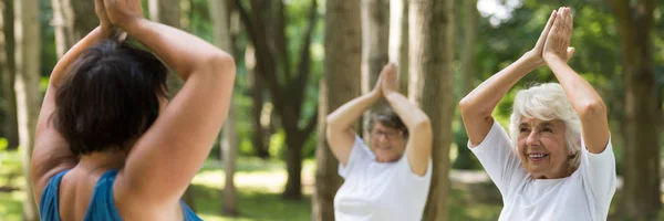 Senior women exercising in the park — Stock Photo, Image