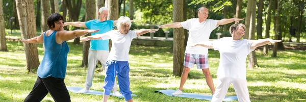 Seniors at the common training in the park — Stock Photo, Image