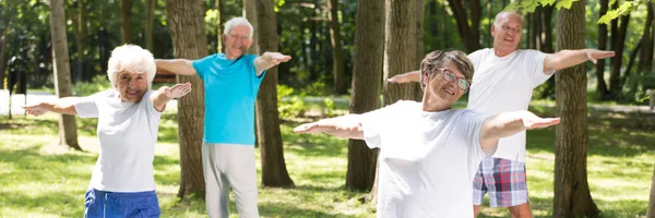 Senior people on outdoor fitness training — Stock Photo, Image