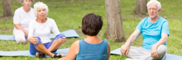 Elderly people practising yoga in the park