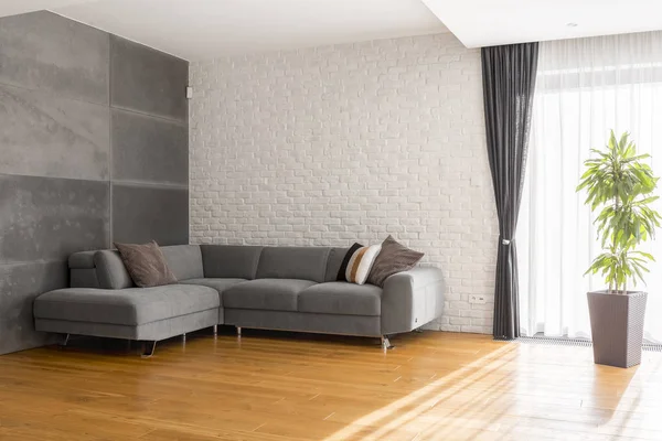 Útulný obývací pokoj s pohovkou — Stock fotografie