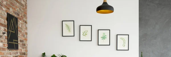 Стена с фотографиями растений — стоковое фото