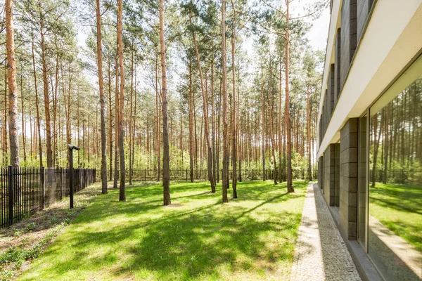 Modern minimalistisch huis in het bos — Stockfoto