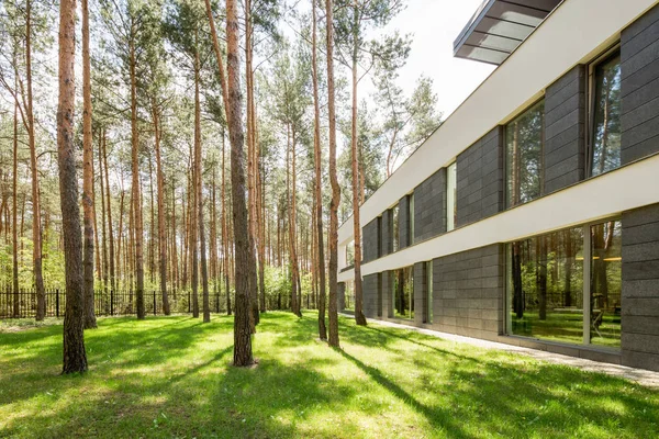 Modern huis omringd door bomen — Stockfoto