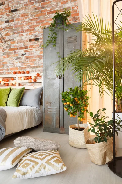 Locker and plants in bedroom — Stock Photo, Image