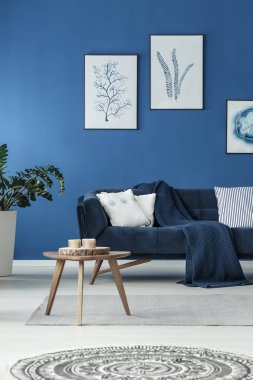 Kanepe battaniye ile