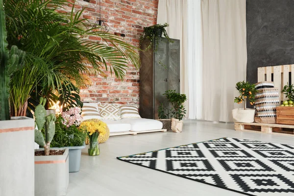 Habitación con decoración de plantas — Foto de Stock