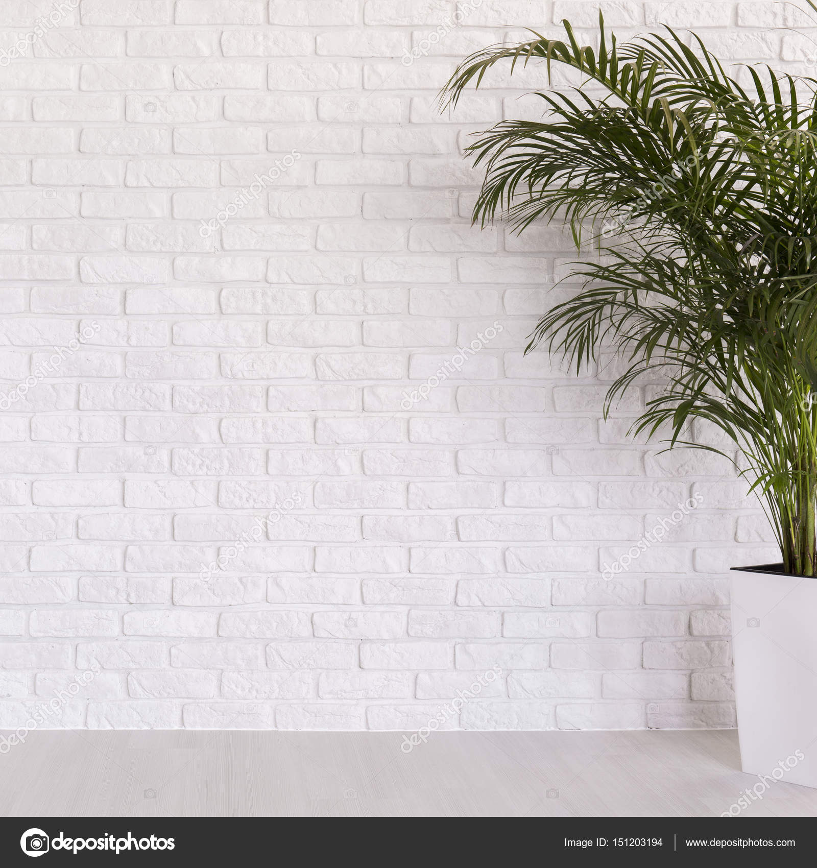 White Brick Wall With Potted Plant Stock Photo Image By C Photographee Eu