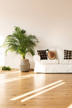 Basit oturma odası kanepe