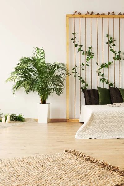 Lichte slaapkamer met planten — Stockfoto