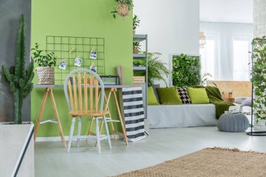 Saksı çiçekleri Yeşil Oda