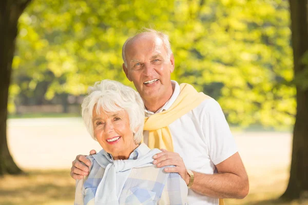 Summer afternoon in the park — Stock Photo, Image