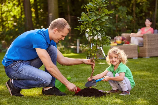 Padre e hijo plantando árbol — Foto de Stock