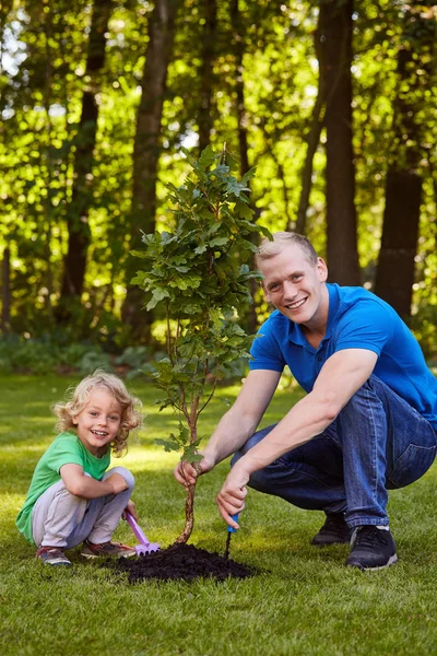 Otec a syn se stromem — Stock fotografie