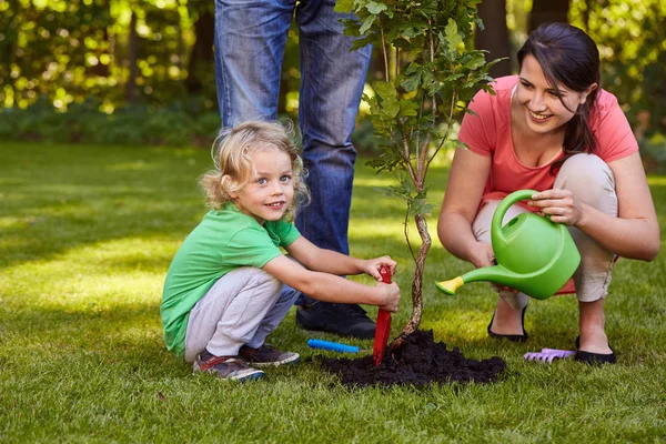 Madre che annaffia un albero — Foto Stock