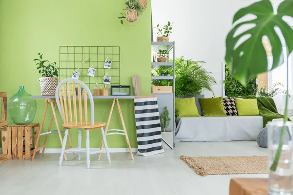 Кімната з зеленими квітами горщика — стокове фото