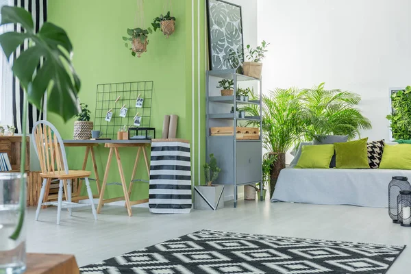 Уютная комната с растениями — стоковое фото