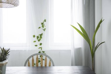 Pencere ile botanik yemek odası