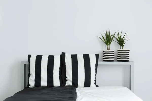 Bed, cushions, and plants — Stock Photo, Image