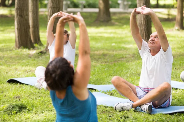 Mayores haciendo yoga en un bosque — Foto de Stock