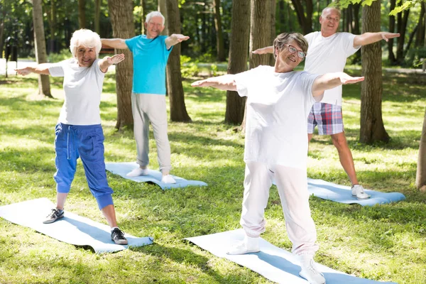 Fröhliche ältere Menschen beim Yoga — Stockfoto