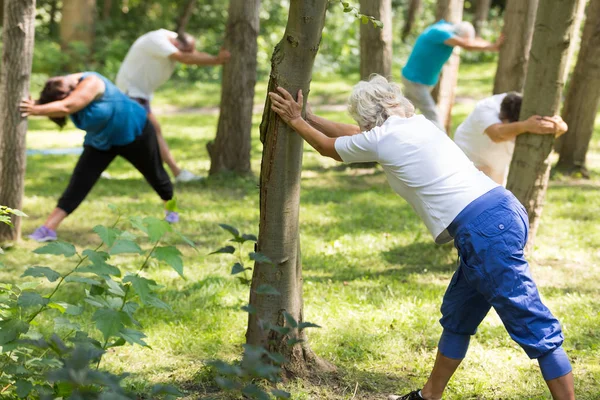 Seniorer gör övningar i en park — Stockfoto