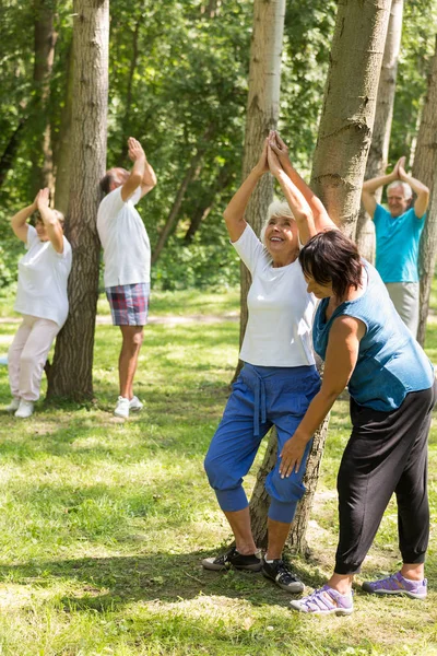 Active seniors working out in a garden — Stock Photo, Image