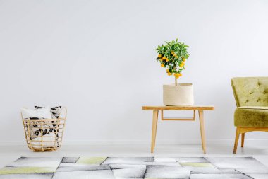 Minimalist, doğal uyum