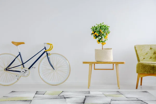 Bicycle, coffee table and armchair — Stock Photo, Image
