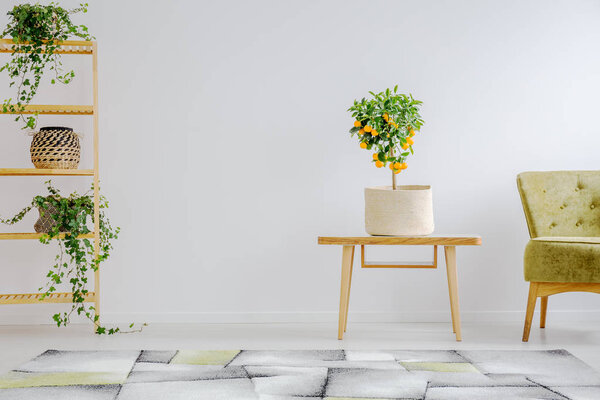 Nature and retro design