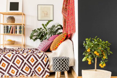 Yatak odasında portakal ağacı