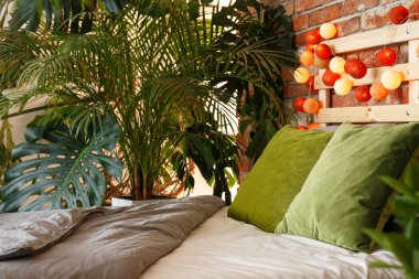 Bitki sevgilisi için yatak odası