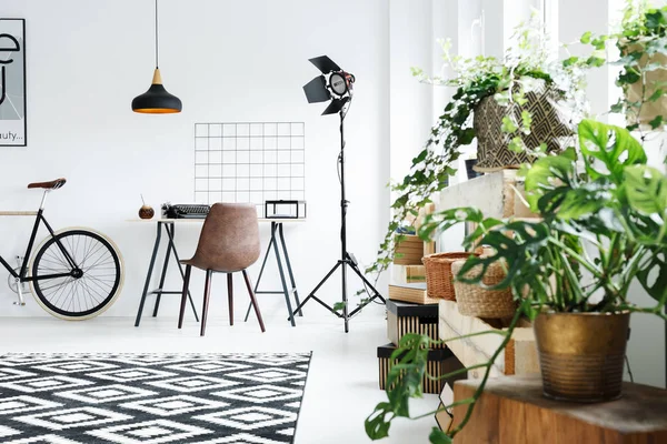 Plantas en habitación moderna — Foto de Stock