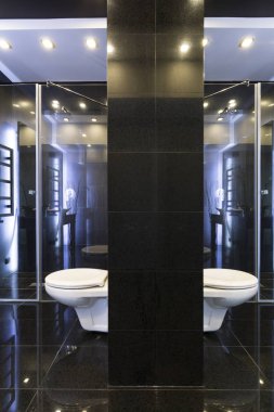 siyah ve beyaz banyo