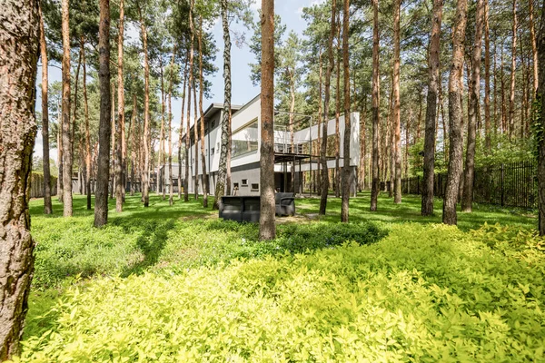 Stijlvolle huis verborgen tussen het bos — Stockfoto