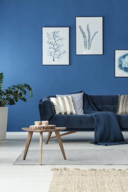 Kanepeli oturma odası.