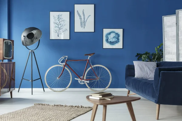 Living room with bicycle — Stock Photo, Image