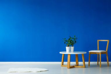 Bitkiler ile küçük tablo