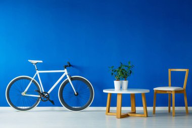 Bisiklet mavi odada