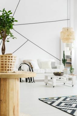 Aydınlık oturma odası kanepe