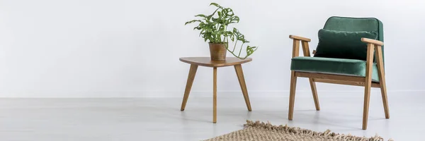 Stol och bord med växt — Stockfoto