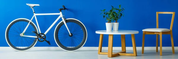 Rower i stylowe meble — Zdjęcie stockowe