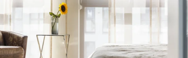 Zimmer mit Sonnenblume — Stockfoto