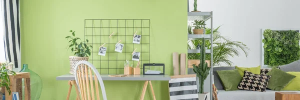 Sala de estudo verde — Fotografia de Stock