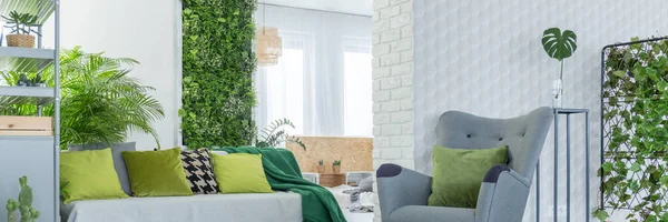Зеленые украшения в комнате — стоковое фото