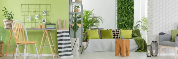 White and green living room — Stock Photo, Image