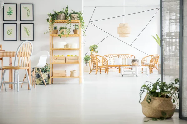 Sala de estar e jantar com plantas — Fotografia de Stock