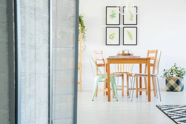 Room divider in cozy apartment