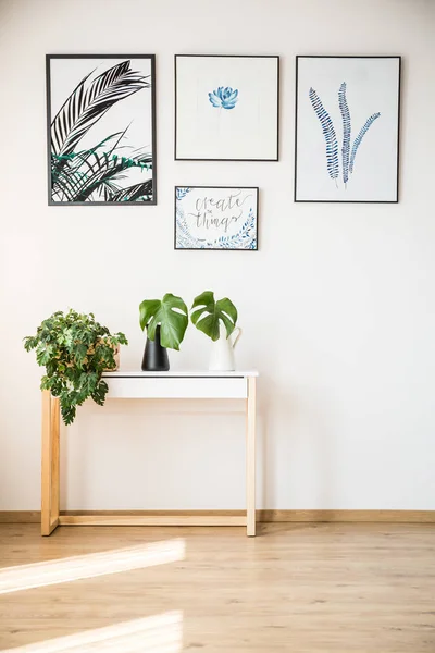 Plantas na mesa pequena — Fotografia de Stock