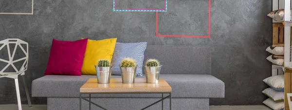 Sofá y mesa con cactus — Foto de Stock